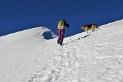 Pizzo Baciamorti e Monte Aralalta, ammantati di neve, con giro ad anello da Capo Foppa di Pizzino il 30 dic. 2019 - FOTOGALLERY